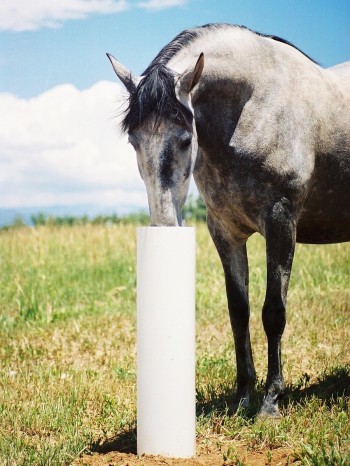 Standtränke Drinking Post